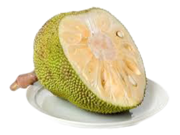 Breadfruit Background PNG