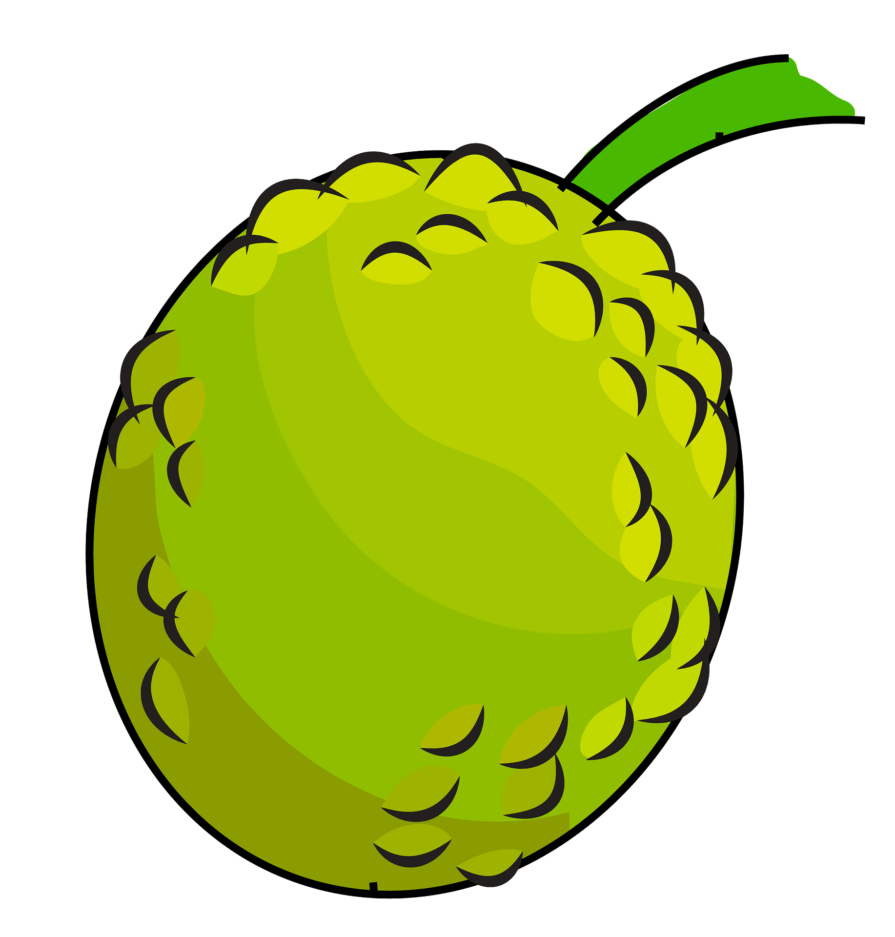 Breadfruit PNG Background