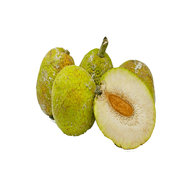 Breadfruit Transparent Image