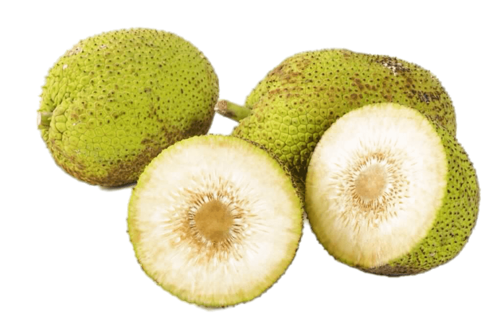Breadfruit Transparent Images