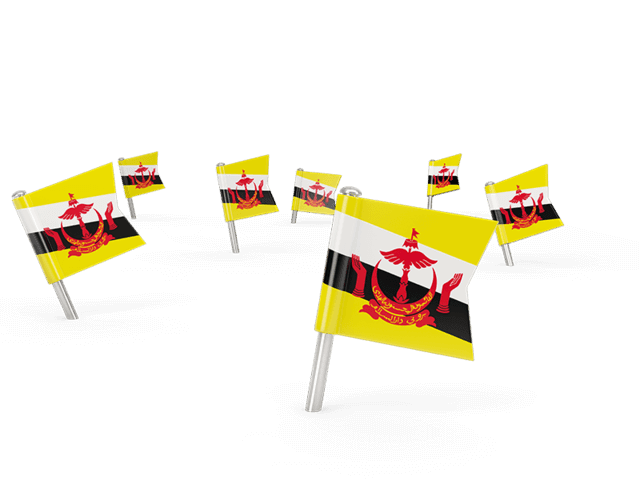 Brunei Flag PNG Background