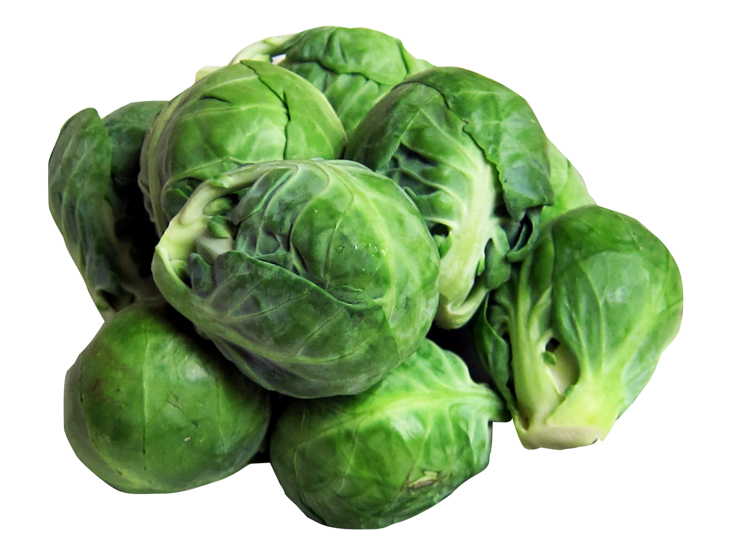 Brussel Sprout Free PNG