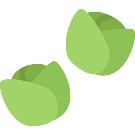 Brussel Sprout PNG HD Quality