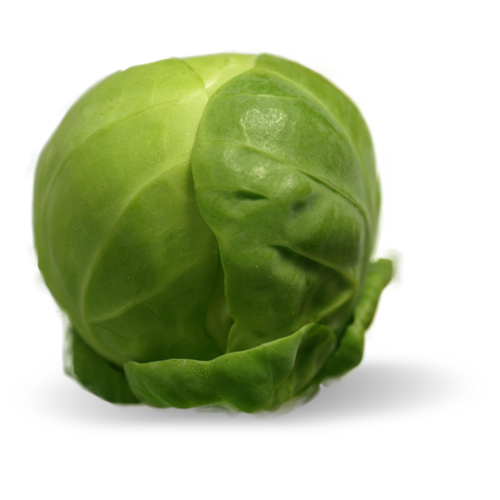 Brussel Sprout PNG Images HD