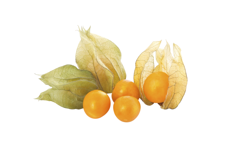 Cape Gooseberry PNG HD Quality