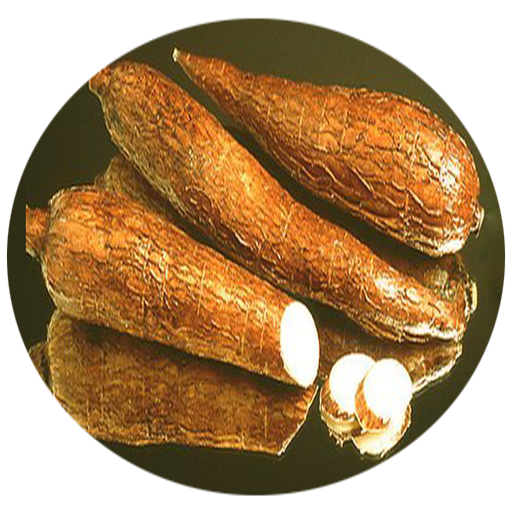 Cassava Background PNG Image