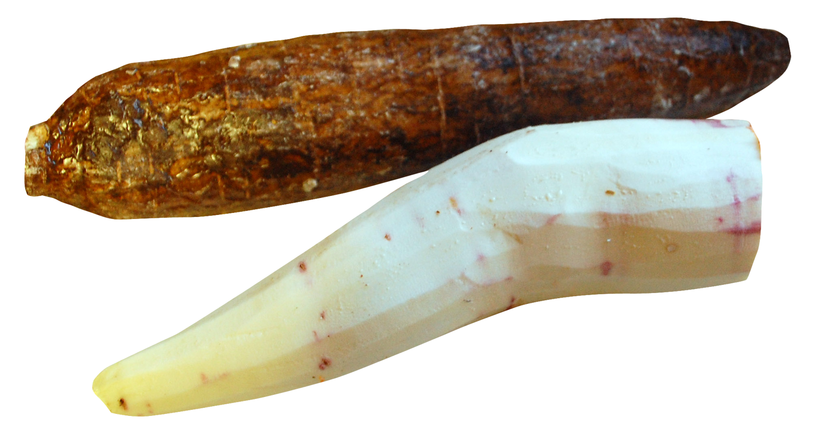 Cassava PNG Clipart Background