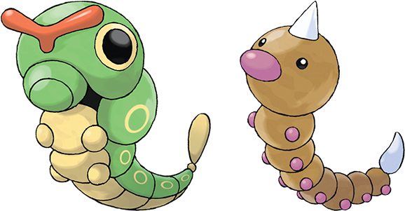 Caterpie Pokemon Background PNG