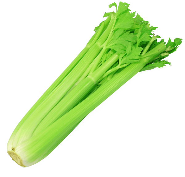 Celery Background PNG Image