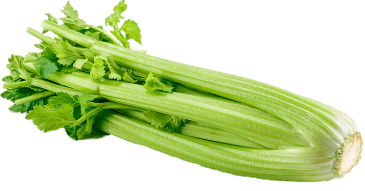 Celery Download Free PNG