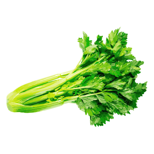 Celery PNG Background