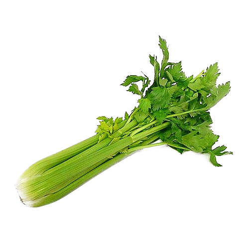 Celery PNG Photo Image