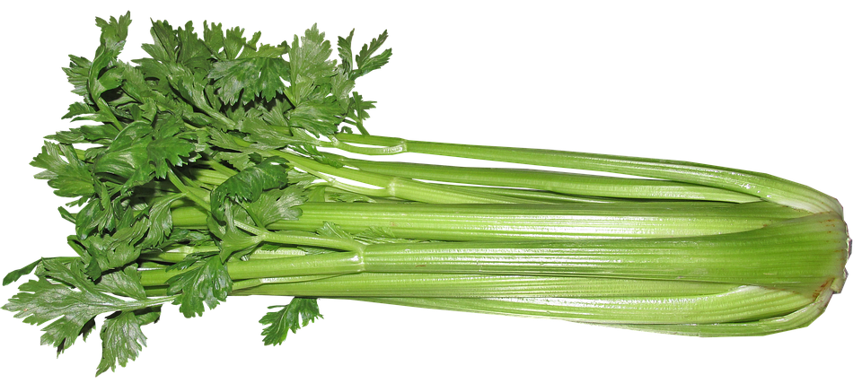 Celery PNG Photos