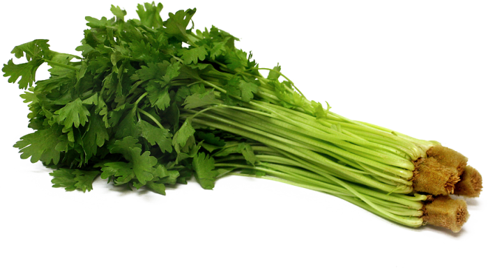 Celery PNG Pic Background