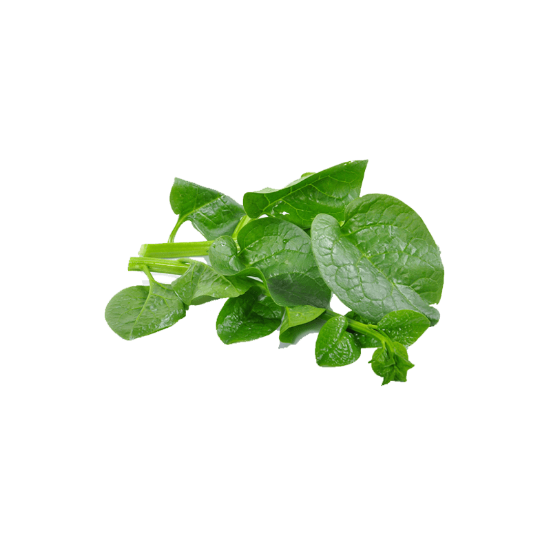 Ceylon Spinach Free PNG