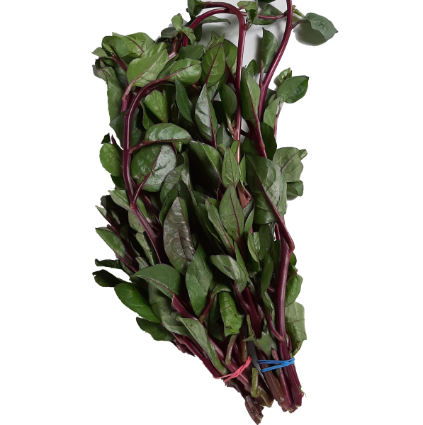 Ceylon Spinach Transparent Free PNG