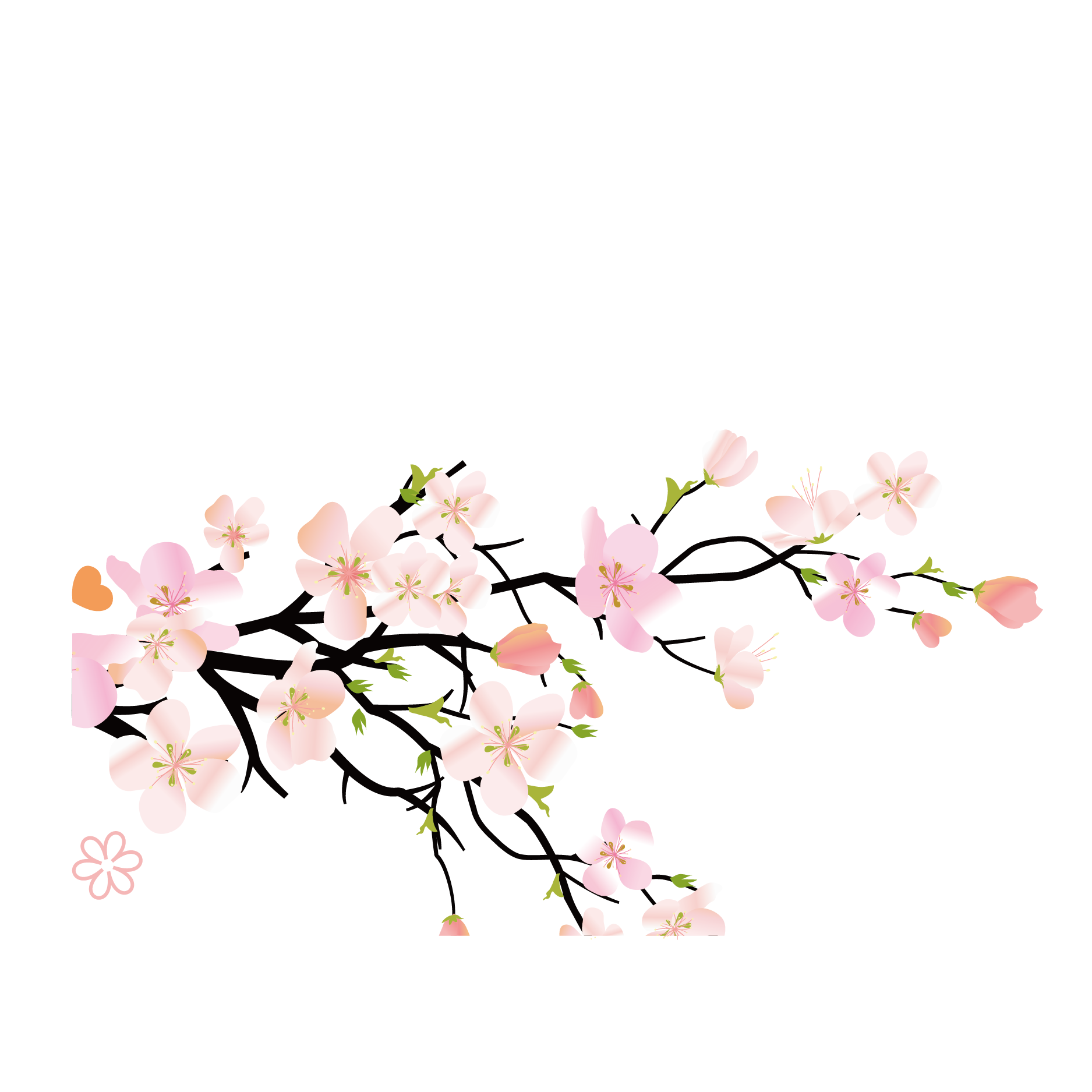Cherry Blossom Background PNG Clip Art