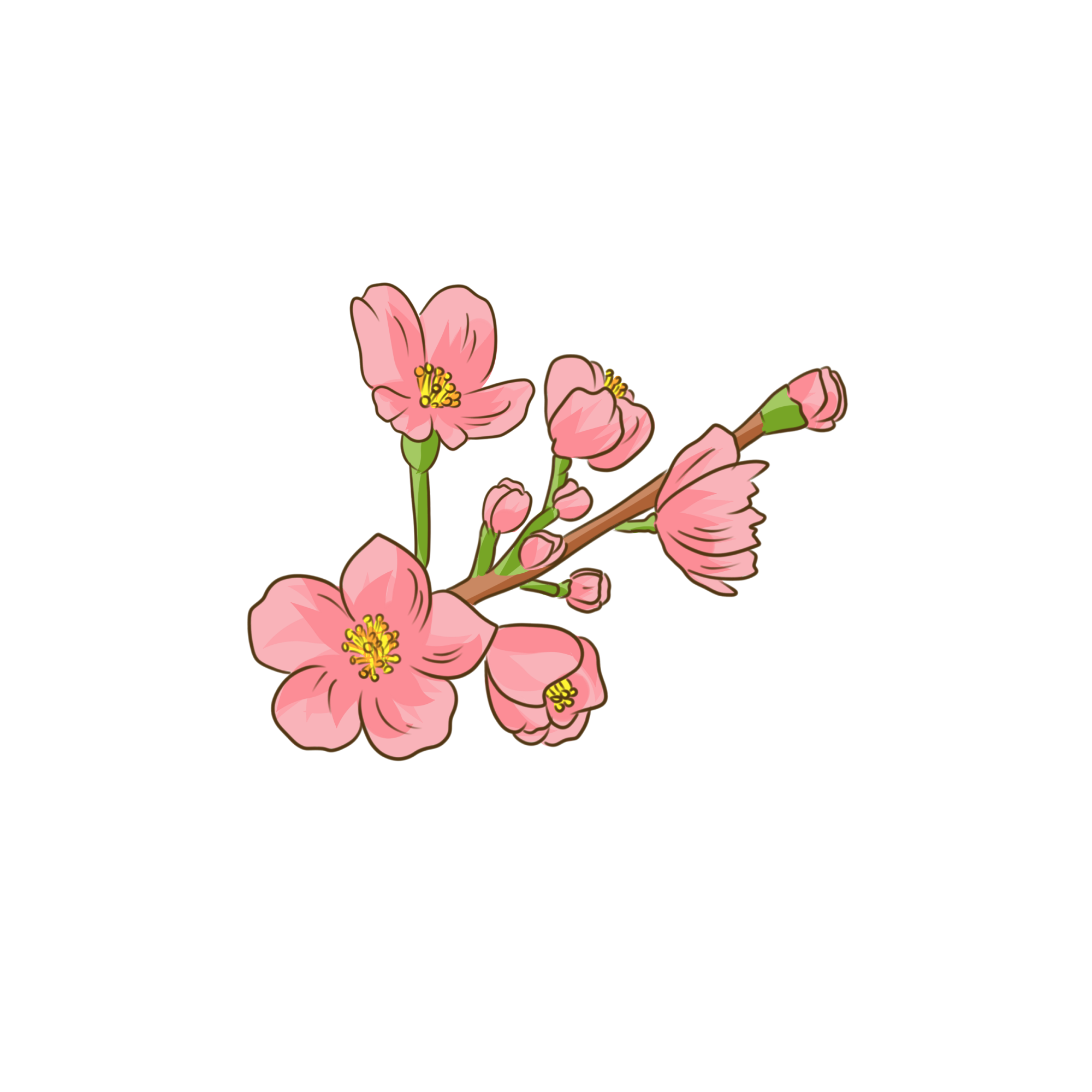 Cherry Blossom Background PNG