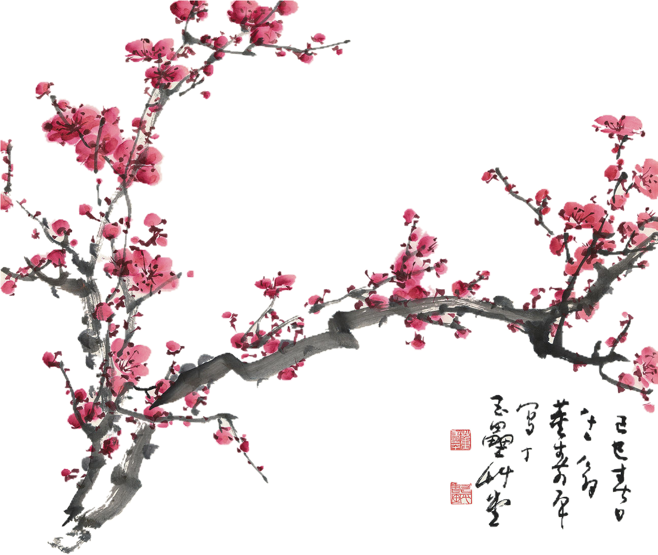 Cherry Blossom No Background