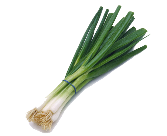 Chives Background PNG Image
