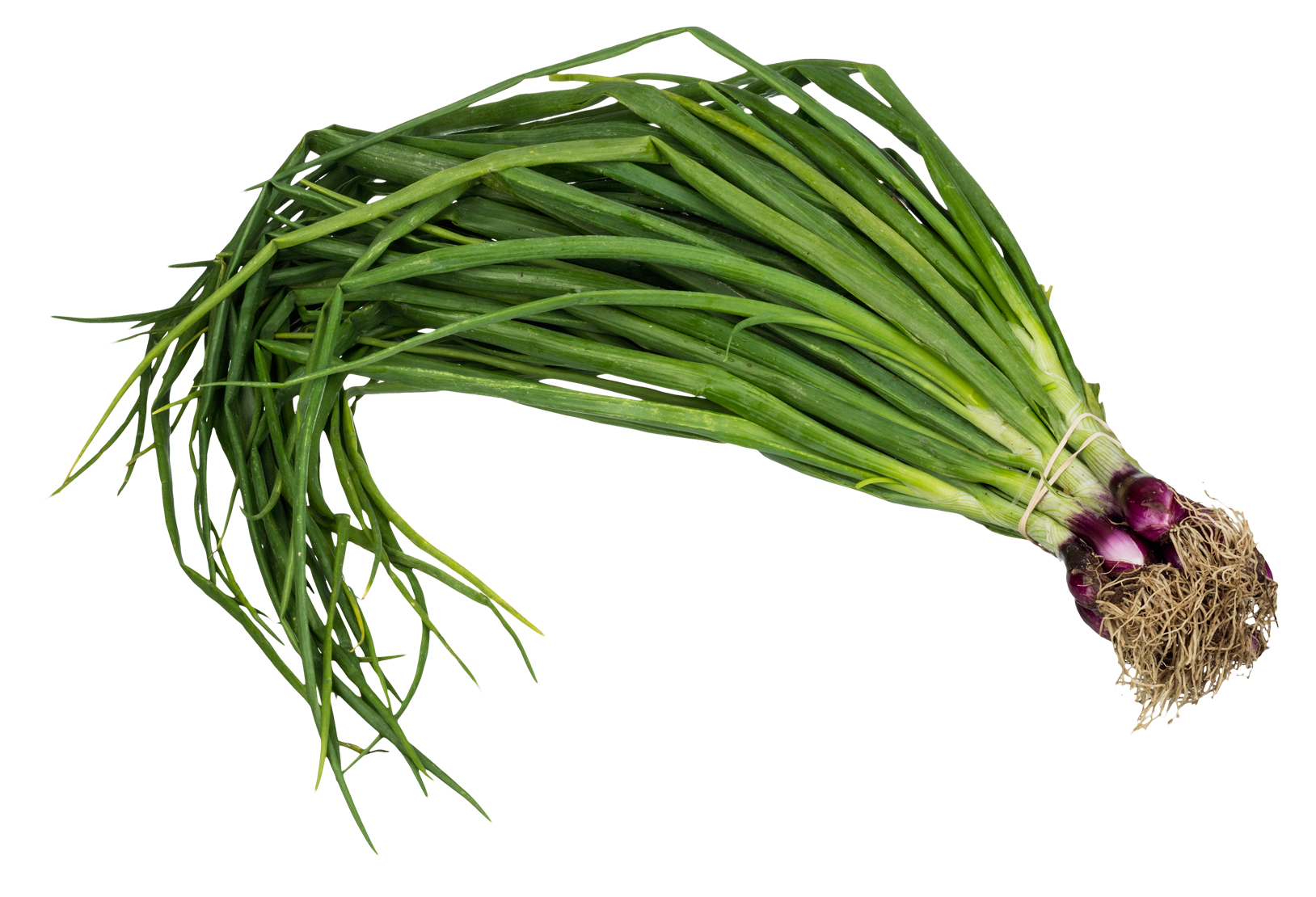 Chives PNG Images HD