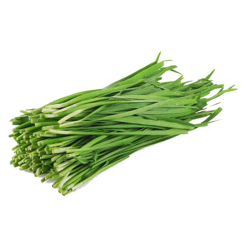 Chives PNG Photos