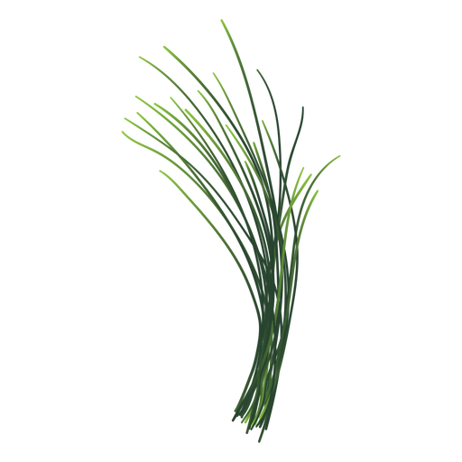 Chives Transparent Background