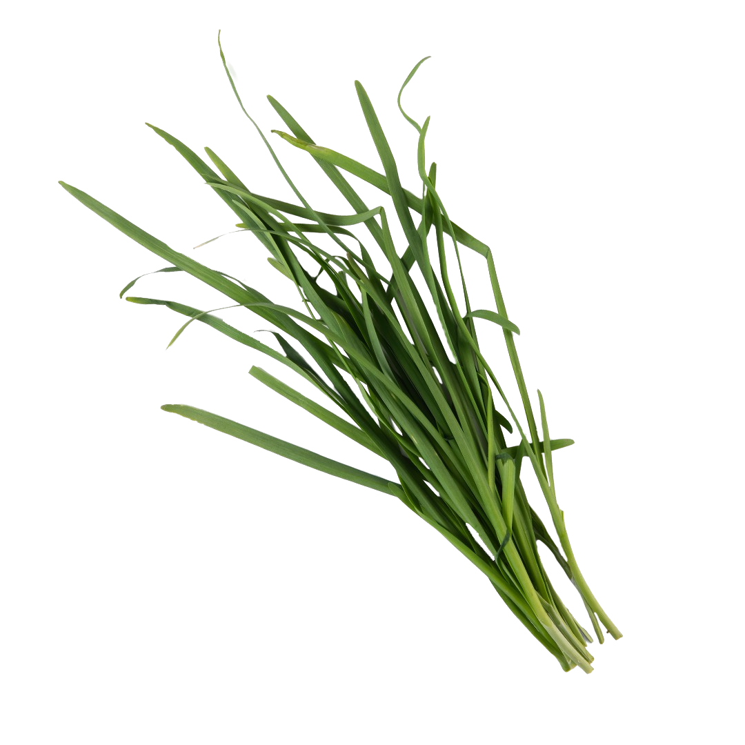 Chives Transparent Free PNG