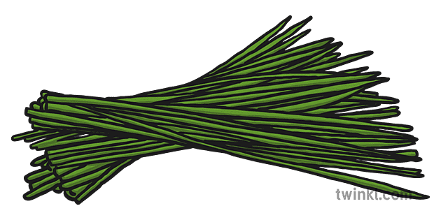 Chives Transparent PNG