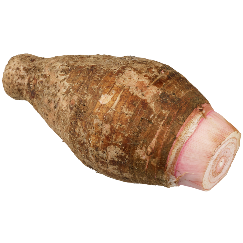 Colocasia Root Background PNG Image