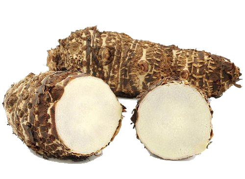 Colocasia Root Free PNG