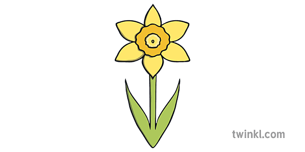 Daffodil No Background Clip Art