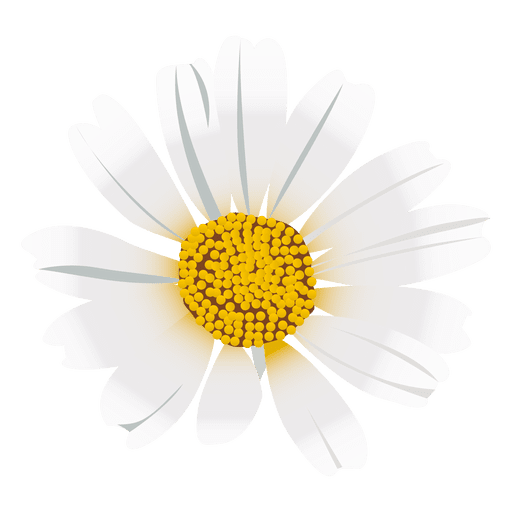 Daisy Background PNG