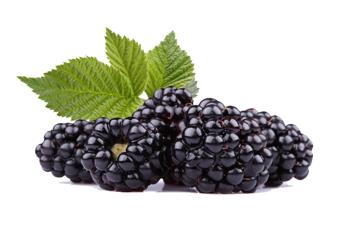 Dewberry PNG HD Quality