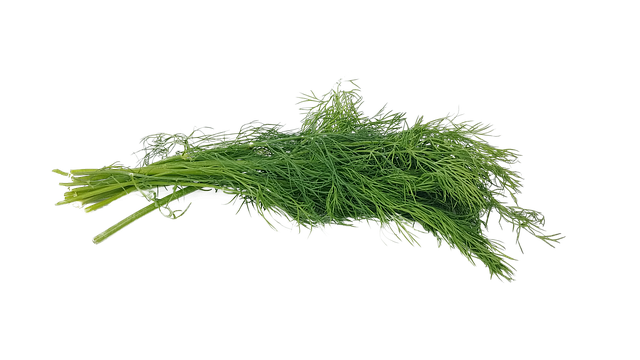 Dill Background PNG Image