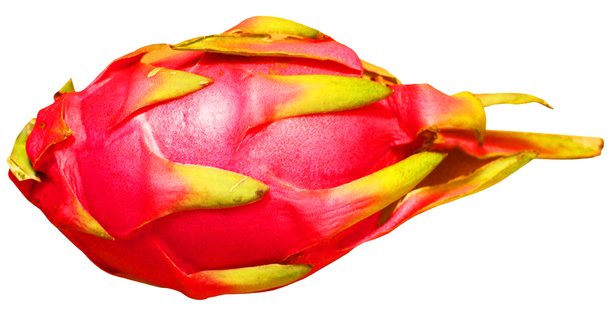 Dragon Fruit Free Picture PNG