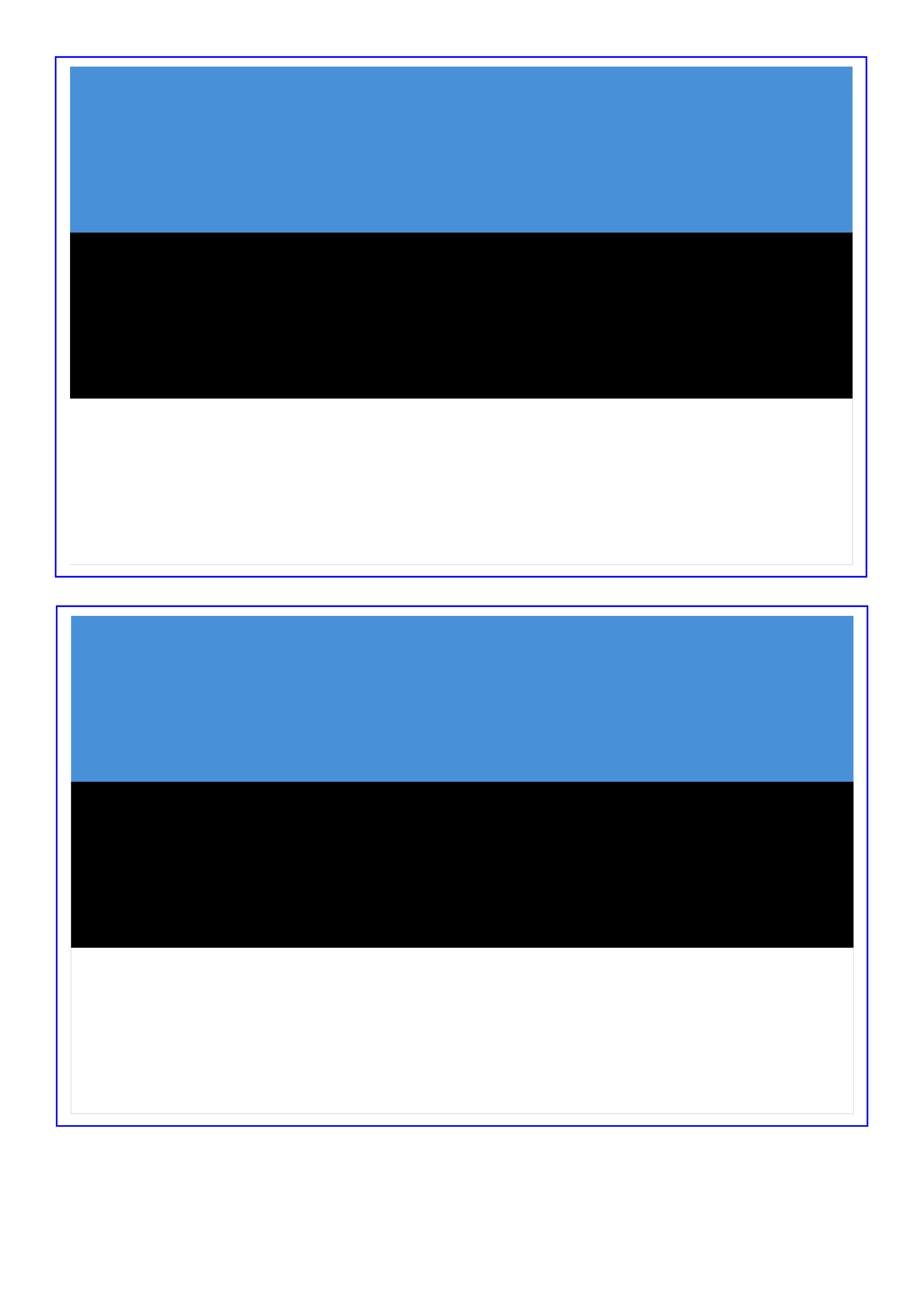 Estonia Flag PNG Photos