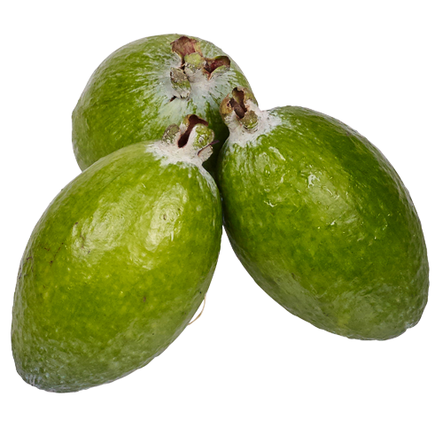 Feijoa PNG HD Quality