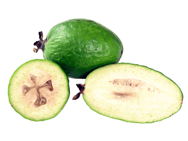 Feijoa PNG Images HD
