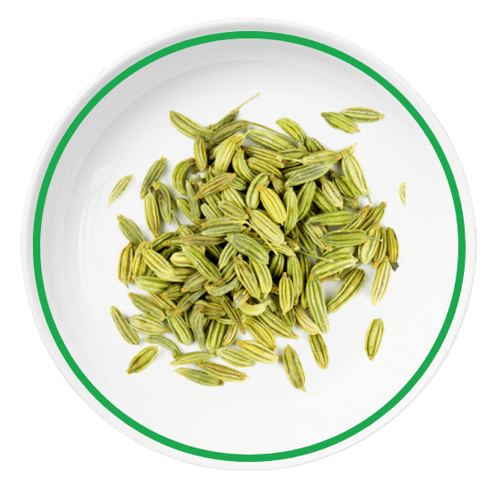 Fennel Download Free PNG