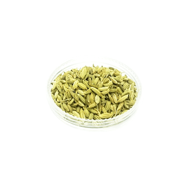 Fennel Free Picture PNG