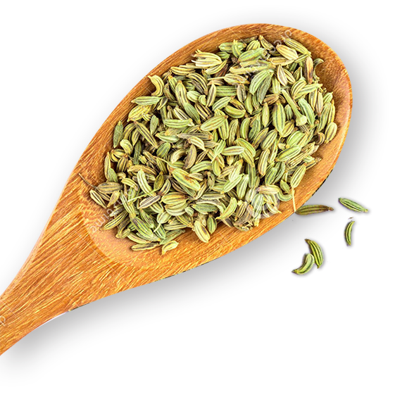 Fennel PNG Background