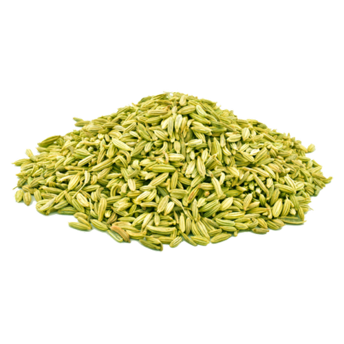 Fennel PNG Free File Download