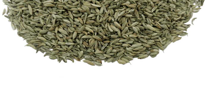 Fennel PNG Pic Background