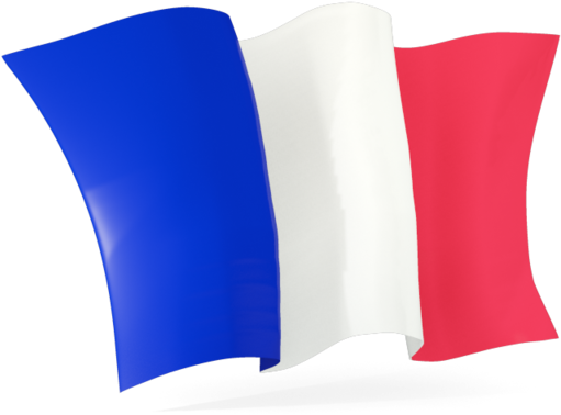France Flag Free PNG