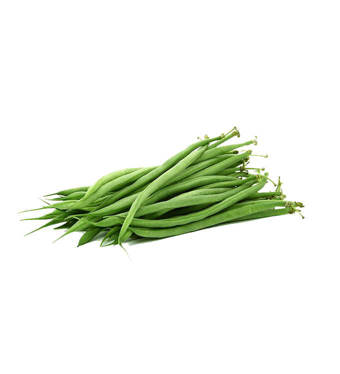 French Beans Download Free PNG