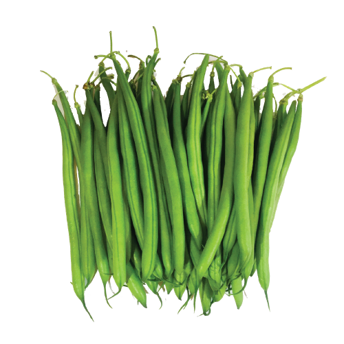 French Beans PNG Photos
