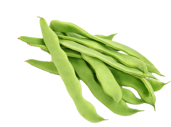 French Beans PNG Pic Background