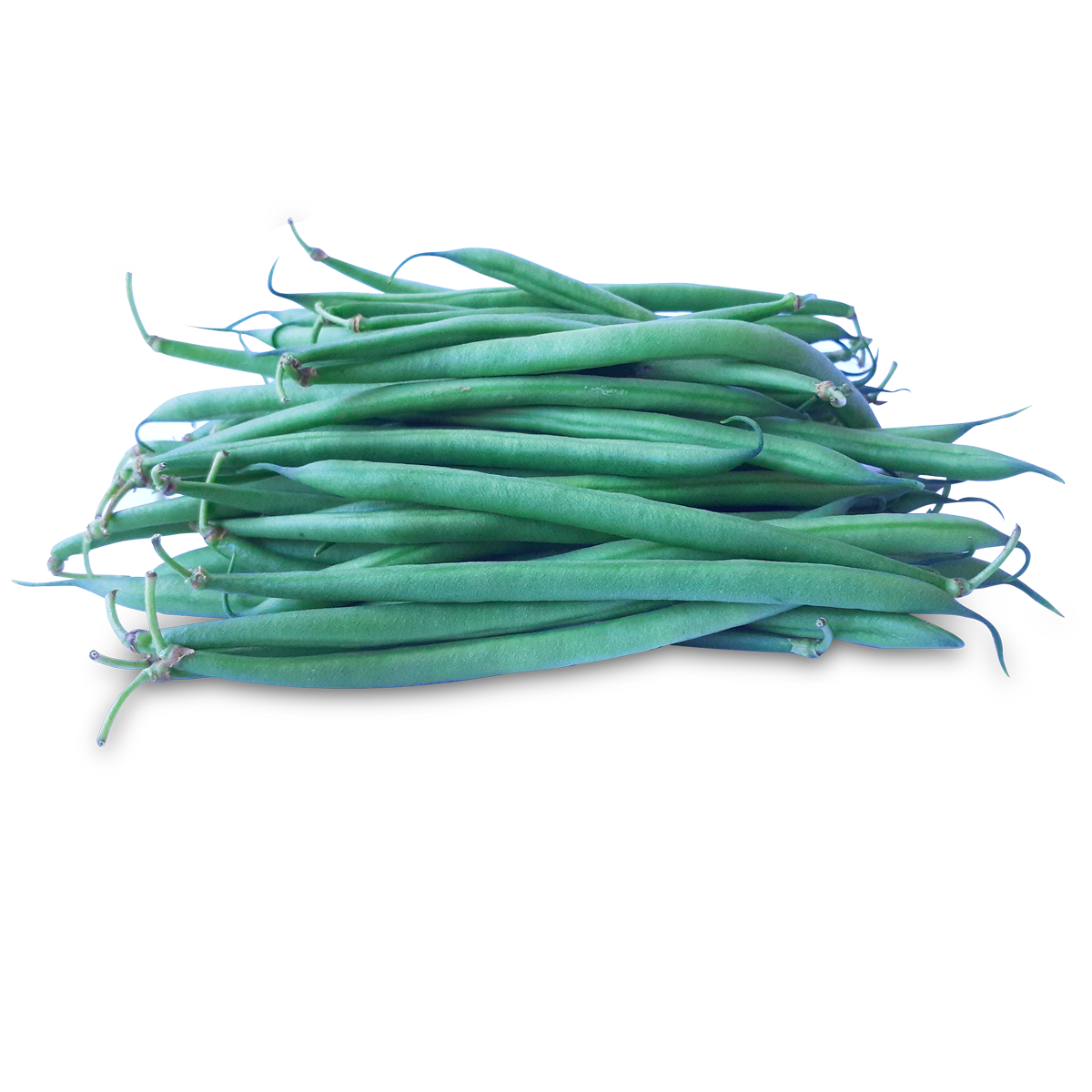 French Beans Transparent Free PNG