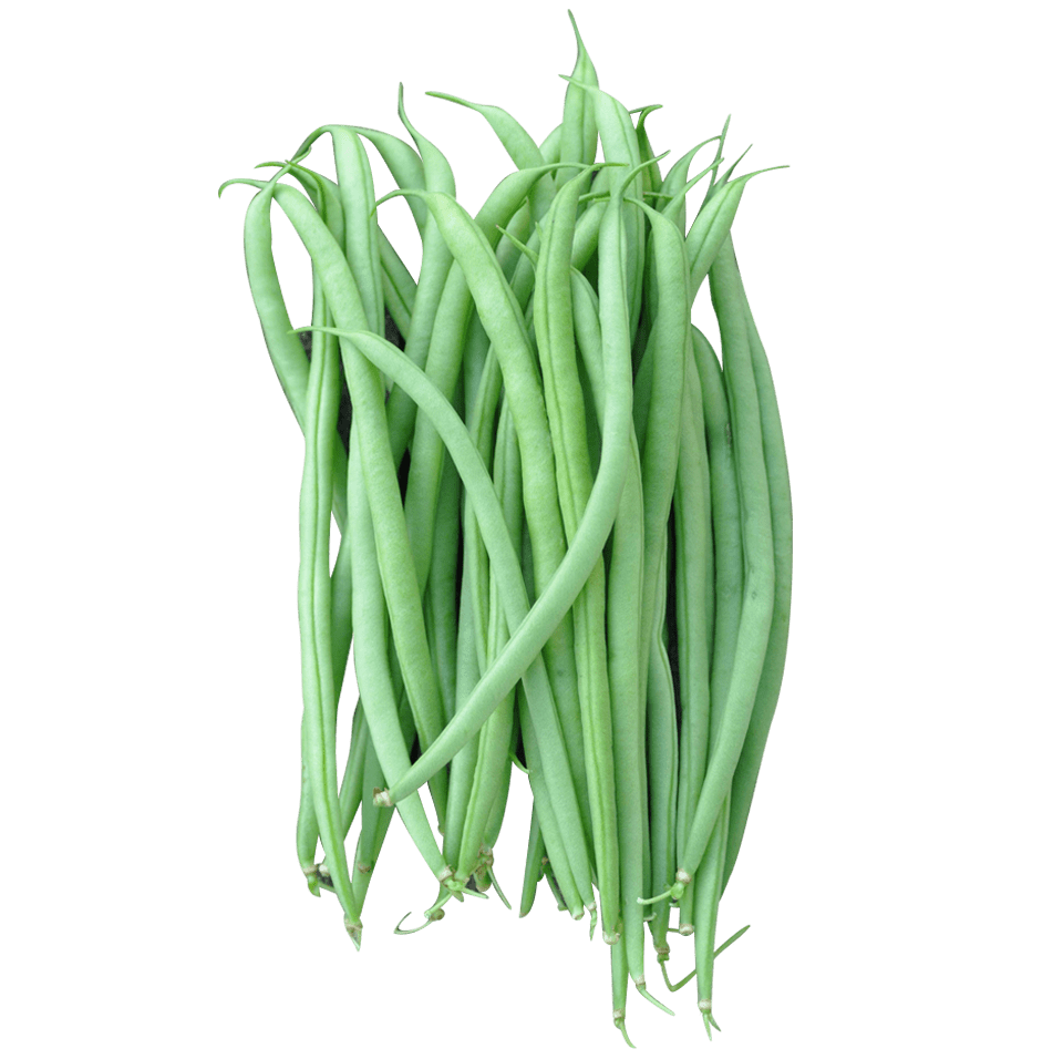 French Beans Transparent Images